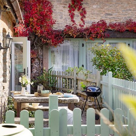 Daisy Cottage ペイントン エクステリア 写真