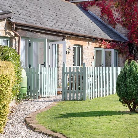 Daisy Cottage ペイントン エクステリア 写真