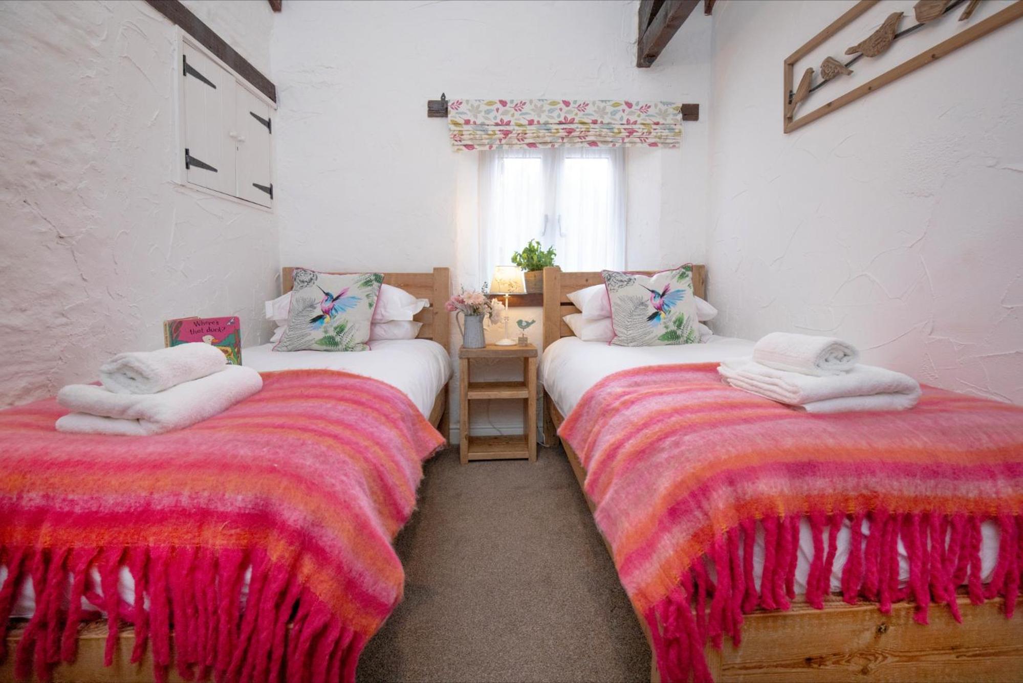 Daisy Cottage ペイントン エクステリア 写真