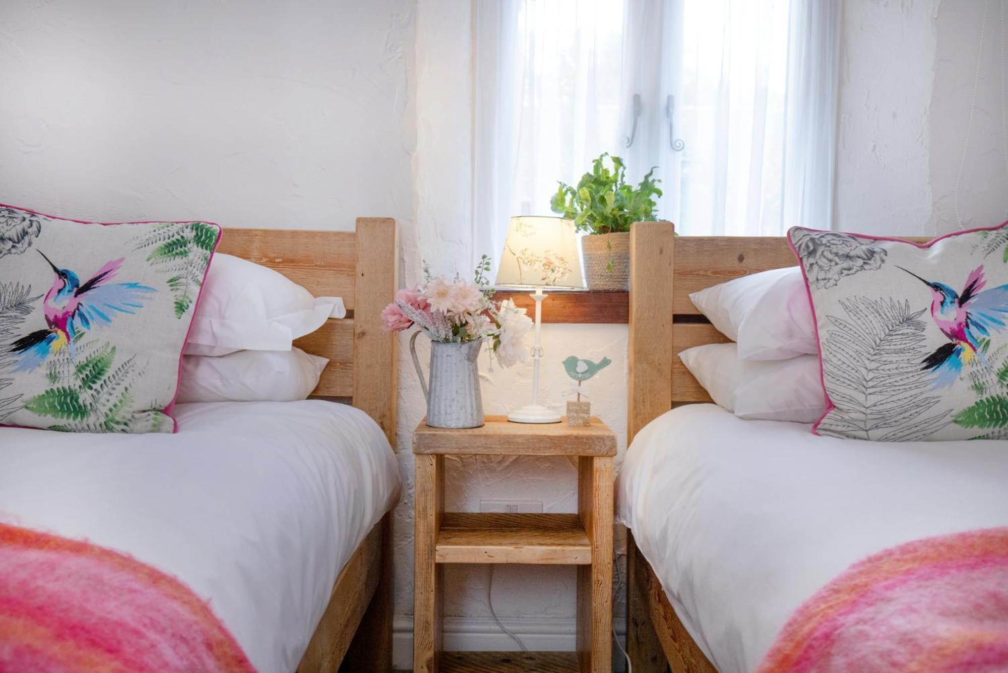 Daisy Cottage ペイントン エクステリア 写真