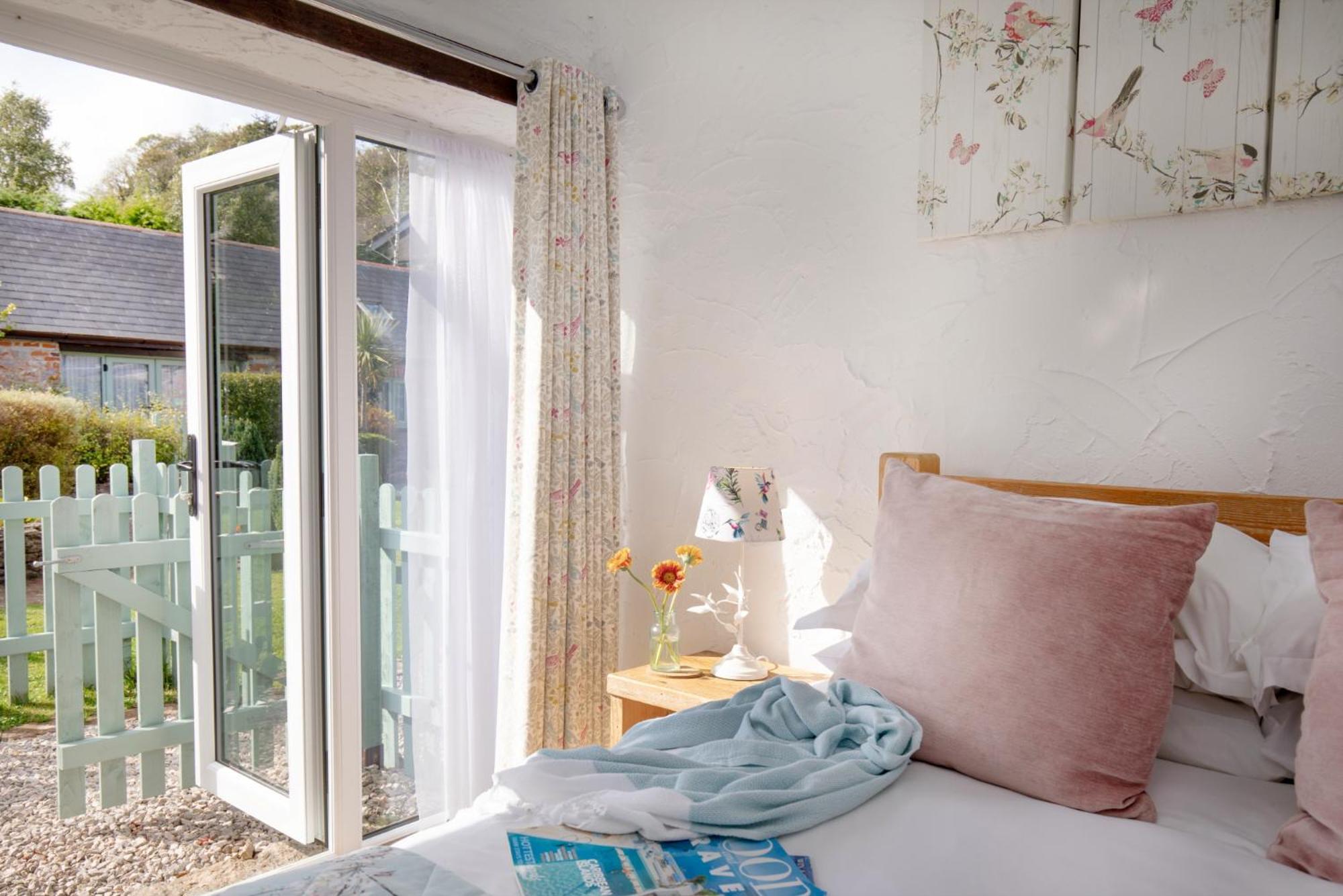 Daisy Cottage ペイントン エクステリア 写真