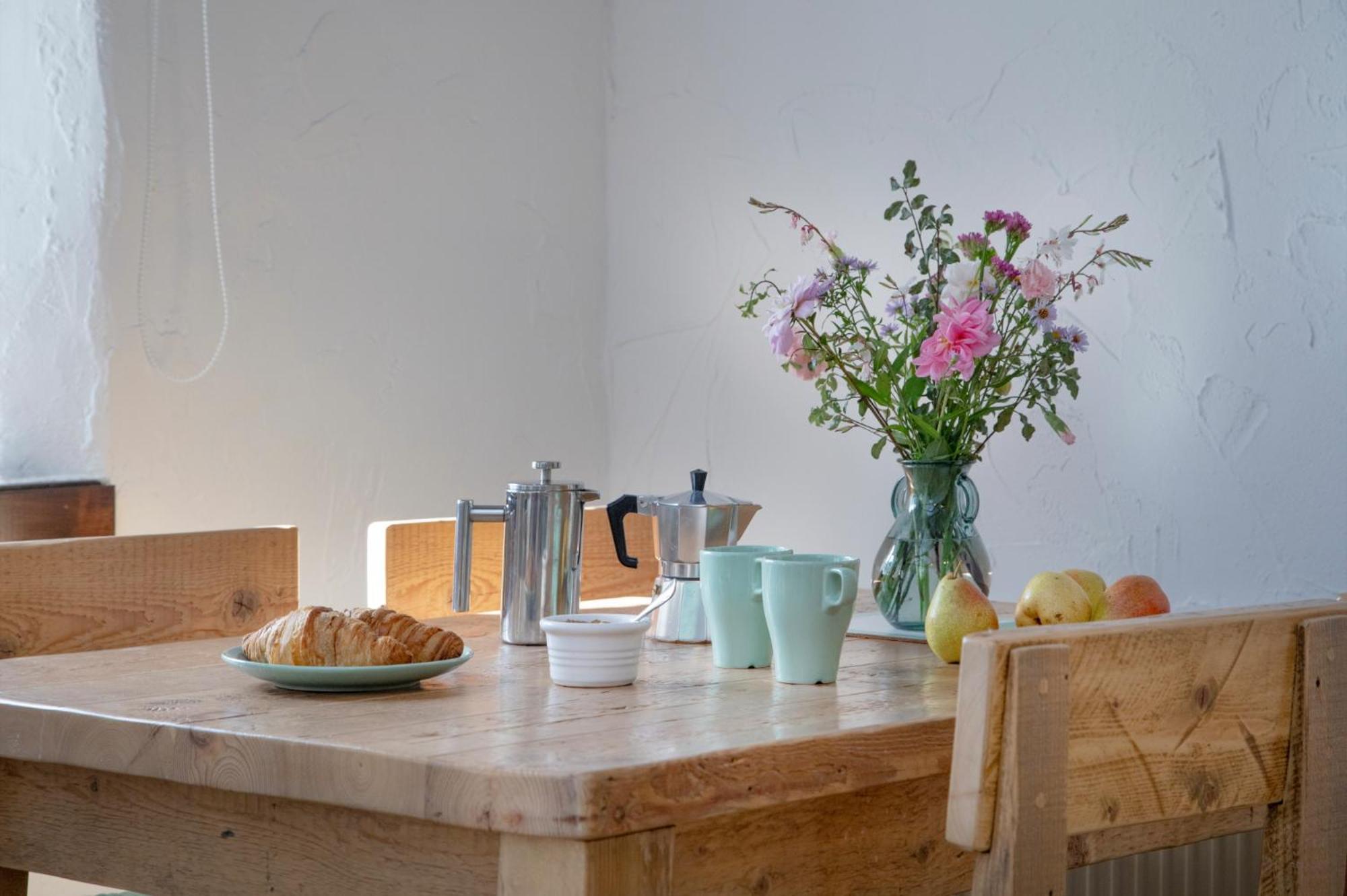 Daisy Cottage ペイントン エクステリア 写真